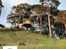 CAMP TREEHOUSE • COTTAGE • POOL • JACUZZI, hotel u gradu Antipolo