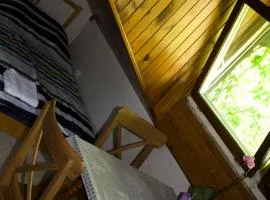 Apartamenty Marysieńki