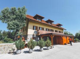 Apartments Jernej with Onsite Wellness, hotel in Brežice