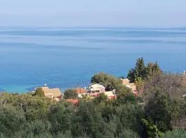Olga's Apartments