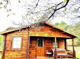 Mas Olivella Cabaña Grande (Big Cabin)