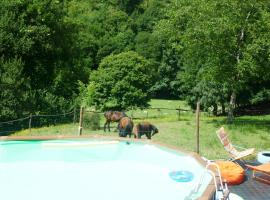 AgroFarm with Animals - Qta Entre Sebes, hotell i Cabeceiras de Basto