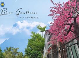 Bloom Guesthouse, hotel v destinaci Chiang Mai