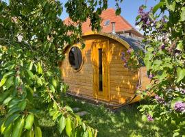 Gite Au sauna de l’Aubach, casa o chalet en Scherwiller