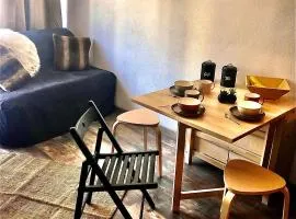 Charmant studio au pieds des remontées mécaniques.