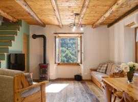 Bellavista, apartment in Chiesa in Valmalenco