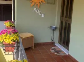 Sole