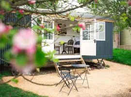 Drift View Shepherds Hut