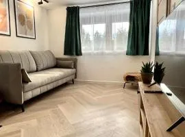 Apartament 21