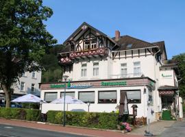 Hotel Tannenhof, Hotel in Bad Harzburg