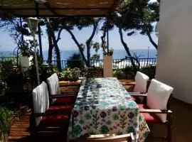 TERRAZZA Marina Piccola