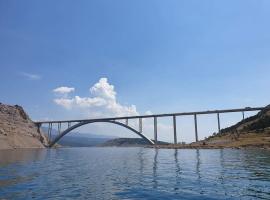 Villa Carpe Diem, Hotel in Vantačići