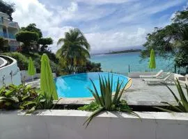 STUDIO AQUA VERDE GOSIER VUE SUR L’ÎLET