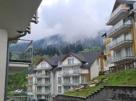 Apartament Czarna Góra Is17