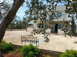 Villa Chirilú