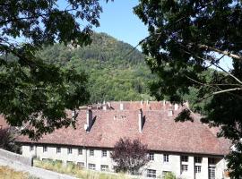 O'Couvent - Appartement 77 m2 - 2 chambres - A321, apartment in Salins-les-Bains