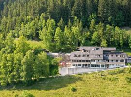Schnwieskopf, cheap hotel in Zell am See