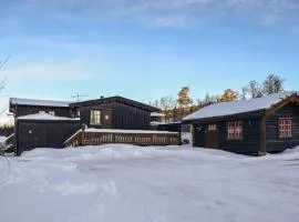 Beautiful Home In Uvdal With Sauna, Wifi And 3 Bedrooms
