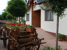 Hanság Vendégház, hotel with parking in Kapuvár