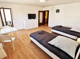 1 room apartment in Rodgau near Frankfurt