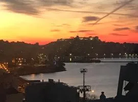 Sea and Castle Panoramic View