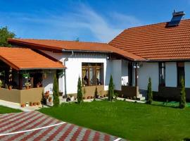 Pensiunea Narcisa cu Ciubar, hotel keluarga di Mălăeşti