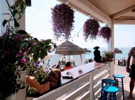 B&B Purple Italy