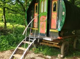 Genuine Gypsy Hut and Glamping Experience - In the Heart of Cornwall