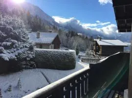 Appartement cosy au pied du MtBlanc