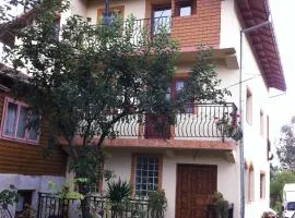 pensiunea Casa Eliza Maria
