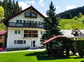 Valea Dorului Guest House