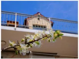 House Natalija