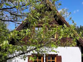 Siedlisko Mazurskie koło Mikołajek, ξενοδοχείο σε Zełwągi