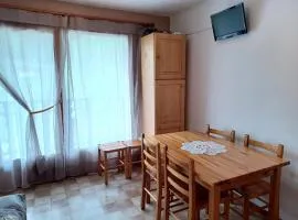 Appartement Le Biot, 2 pièces, 6 personnes - FR-1-573-56