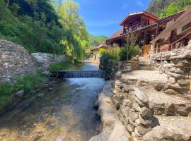 Pensiunea Mioritica, Pension in Sibiel