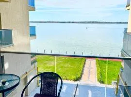 Kitty Studio Sunset Lake