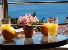 Apartman Mikola with sea view