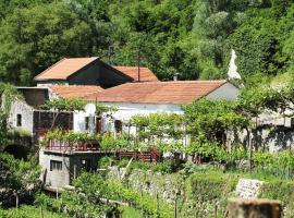 Country House Dajkovic, country house in Dupilo