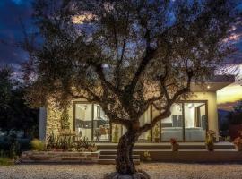 ALFI'S HOUSE LITHAKIA ZAKYNTHOS، مكان عطلات للإيجار في Lithakia