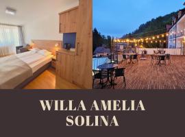 Willa Amelia, готель у Соліні