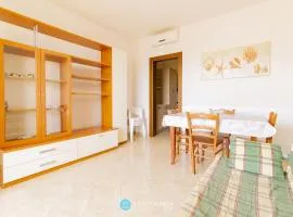 CAMELIA FLAT - ROCA