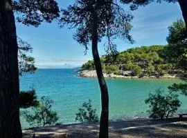APARTMANI GOMILA