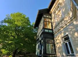 Villa Petterhof