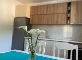 Apartman Holiday
