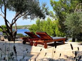 Villa Gjardini - Sparadici