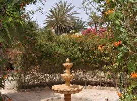 La Palmeraie De Massa