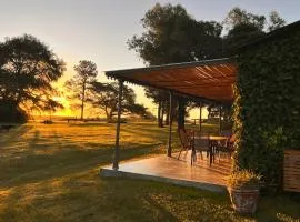Zorzal Casa de Campo