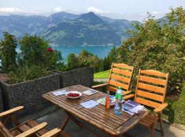 Mountain peace in the heart of Switzerland, hotel near Klewenalp, Emmetten