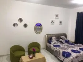 Apartment in Ajman,furnished studio