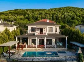 Seyr-i Villa